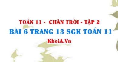 Bài 6 trang 13 Toán 11 Tập 2 Chân trời sáng tạo